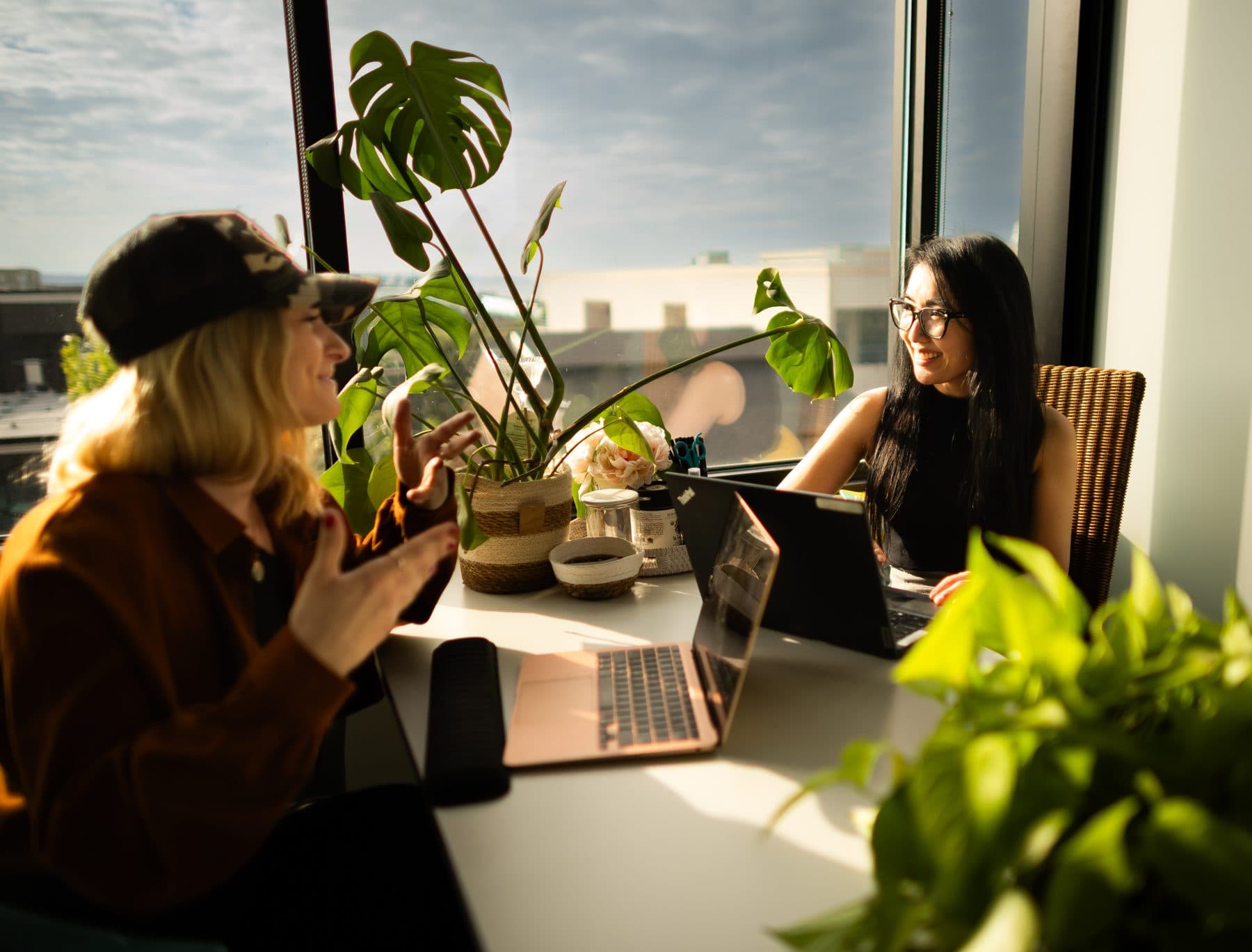 Two members working at laptops by a sunlit window surrounded by plants.