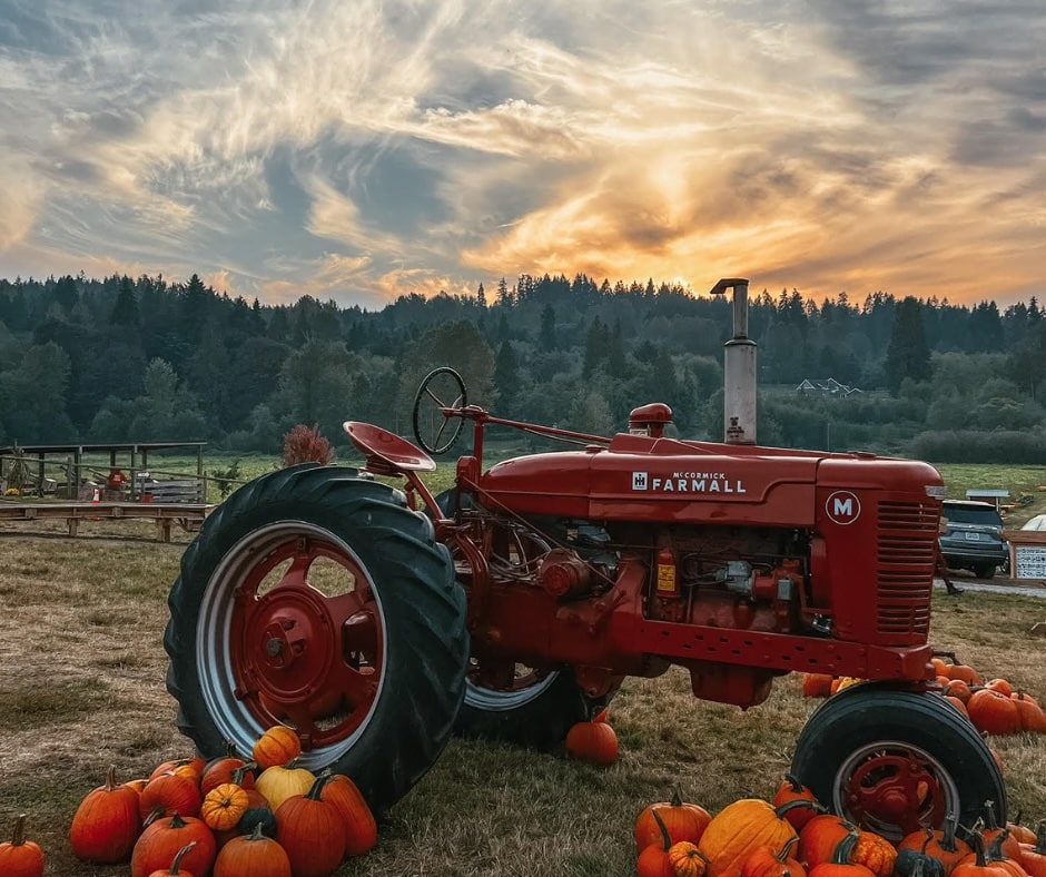 Bob's Corn and Pumpkin Farm