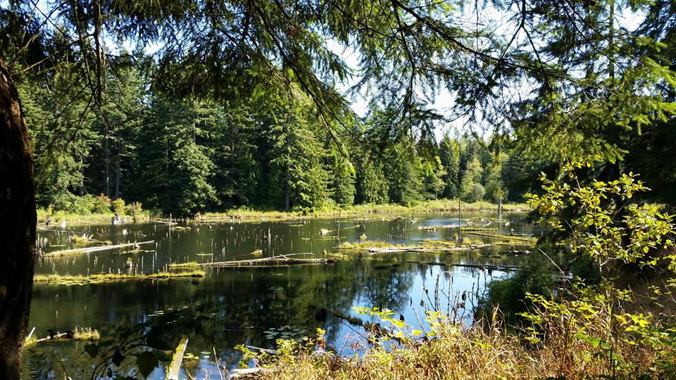 Lord Hill Regional Park in Snohomish, WA