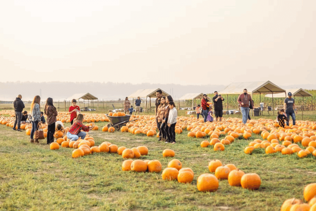 Stocker Farms in Snohomish, WA