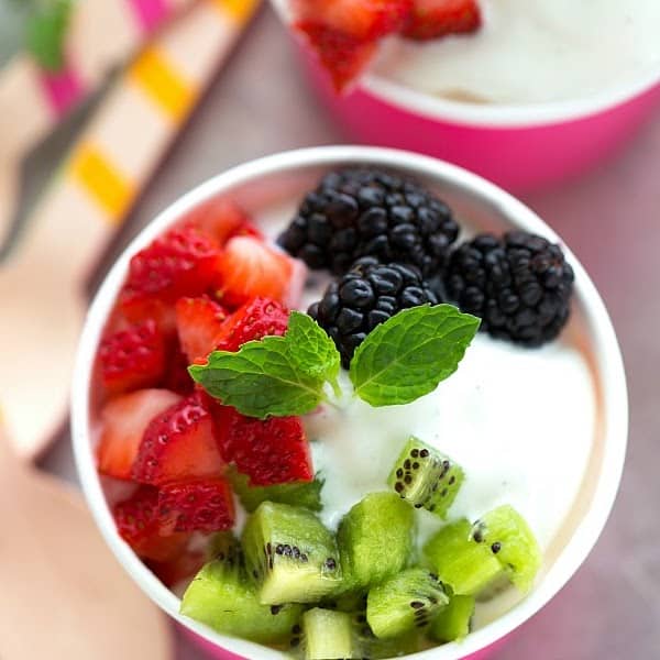 Frozen Yogurt from Revelations Yogurt in Edmonds, WA